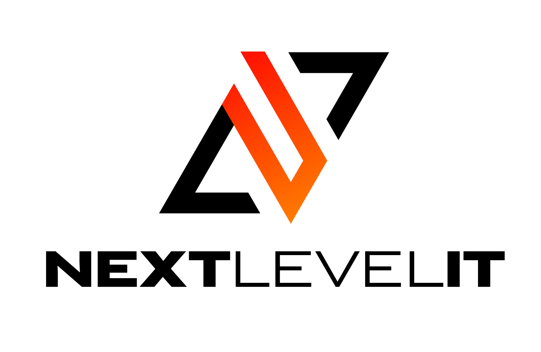 Next Level IT – Professional IT Consulting Services